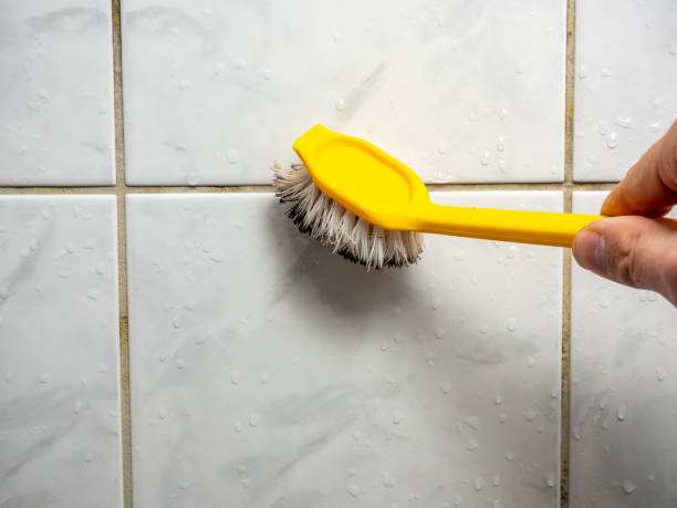 Certified Mold Removal in Taos Pueblo, NM