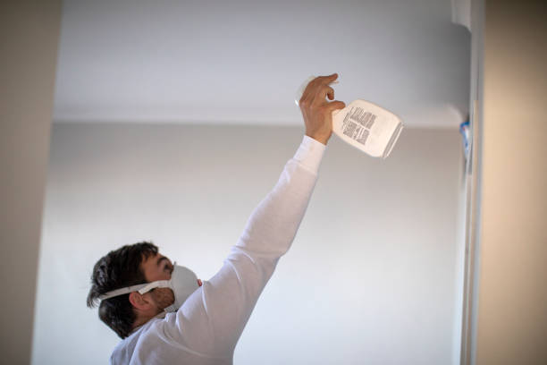 Best Mold Removal Company Near Me  in Taos Pueblo, NM