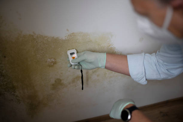 Best Crawl Space Mold Removal  in Taos Pueblo, NM